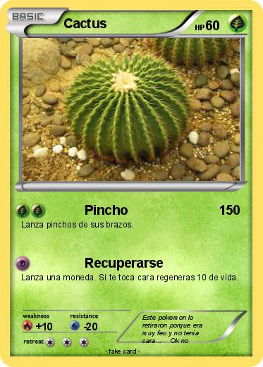 Pokemon Cactus