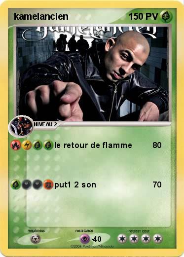 Pokemon kamelancien