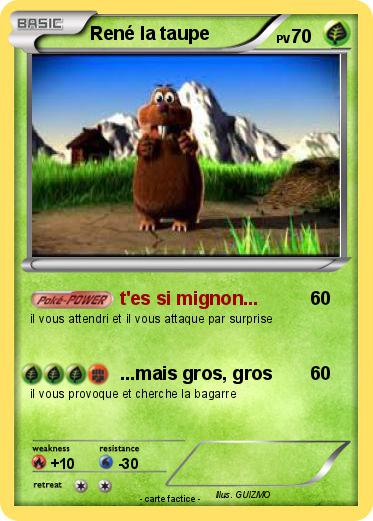 Pokemon René la taupe