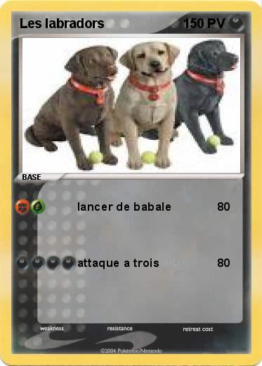 Pokemon Les labradors                                                           