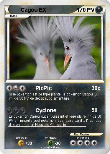 Pokemon Cagou EX