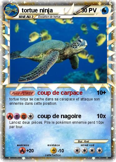 Pokemon tortue ninja