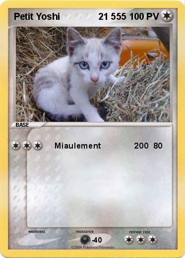 Pokemon Petit Yoshi               21 555