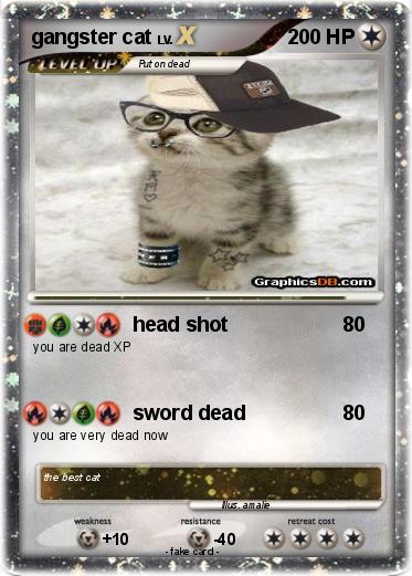 Pokemon gangster cat