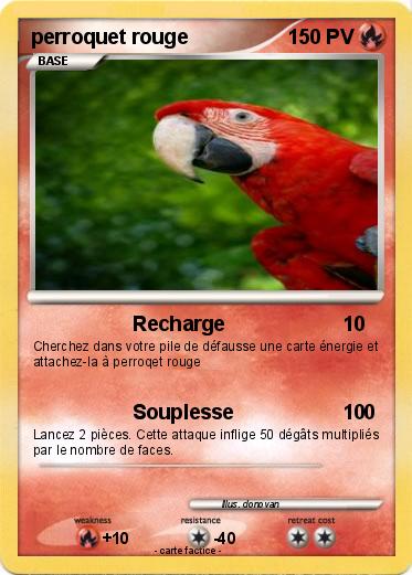 Pokemon perroquet rouge