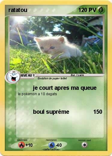 Pokemon ratatou