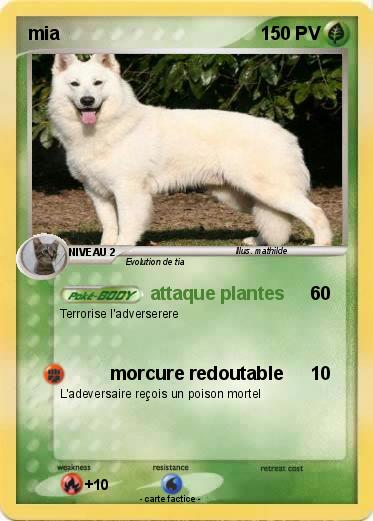 Pokemon mia