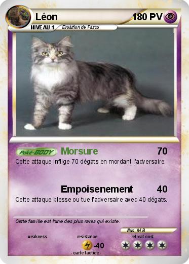 Pokemon Léon