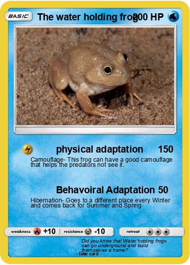 Pokemon The water holding frog