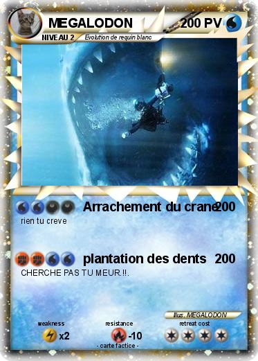 Pokemon MEGALODON