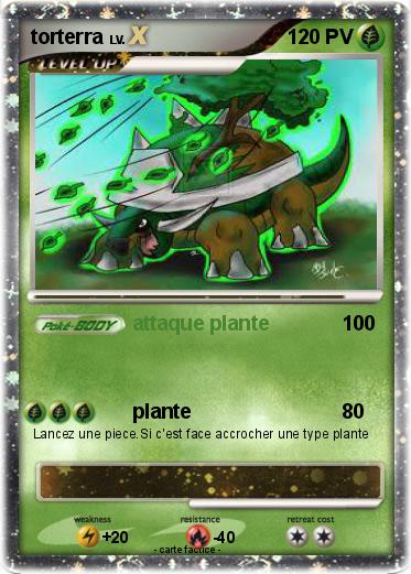 Pokemon torterra