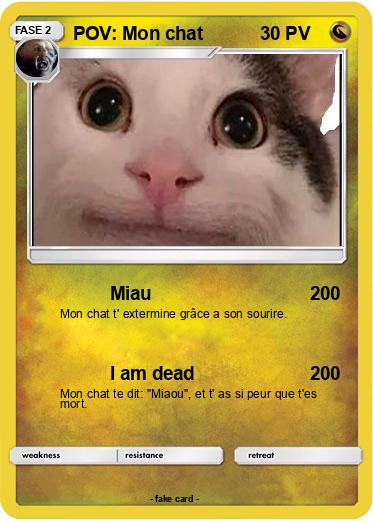 Pokemon POV: Mon chat
