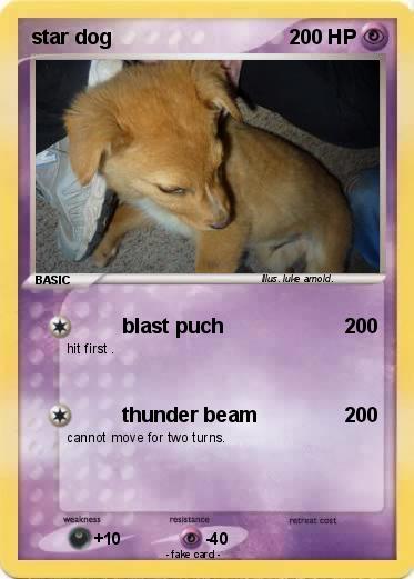Pokemon star dog