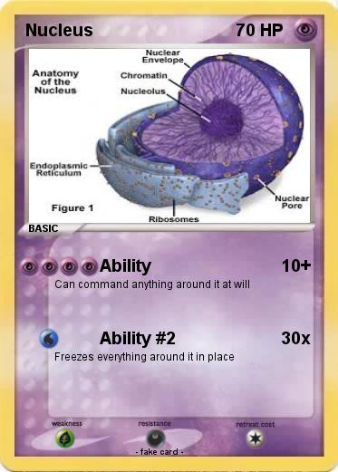 Pokemon Nucleus