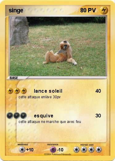 Pokemon singe
