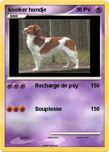 Pokemon kooiker hondje