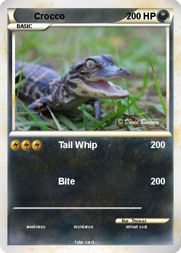 Pokemon Crocco