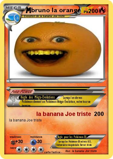 Pokemon bruno la orange