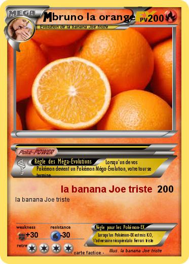 Pokemon bruno la orange