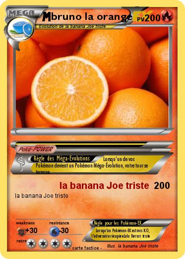 Pokemon bruno la orange