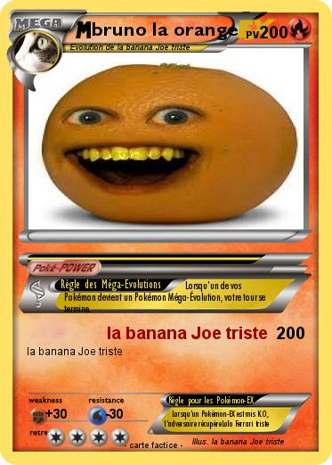 Pokemon bruno la orange