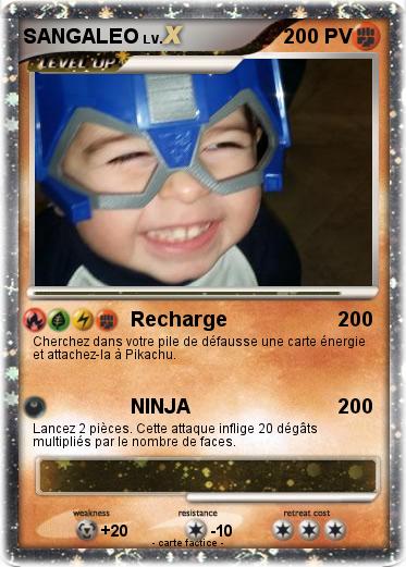 Pokemon SANGALEO