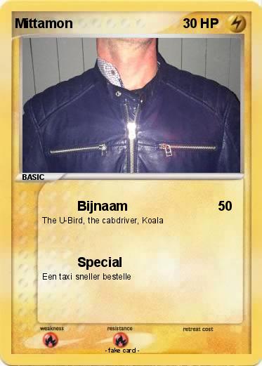 Pokemon Mittamon