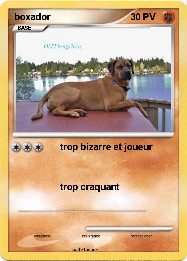 Pokemon boxador