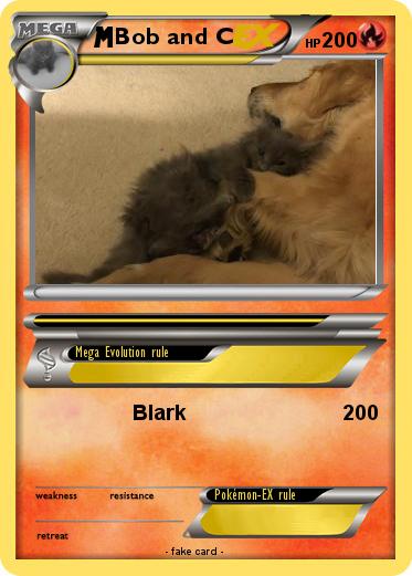 Pokemon Bob and C