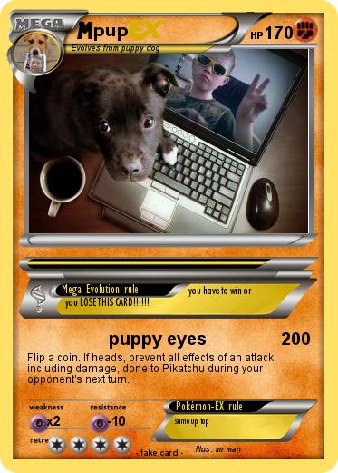 Pokemon pup