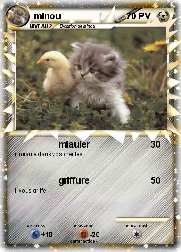 Pokemon minou