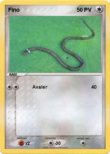 Pokemon Fino