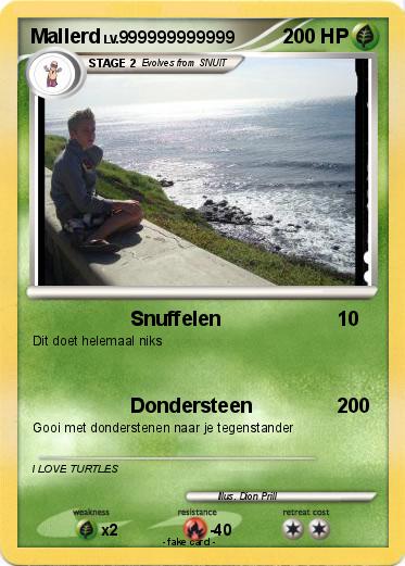 Pokemon Mallerd