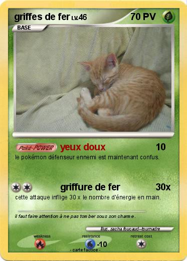 Pokemon griffes de fer
