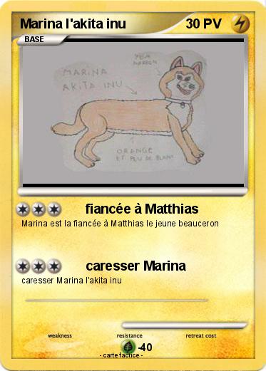 Pokemon Marina l'akita inu