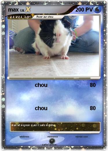 Pokemon max