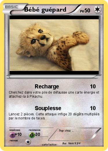 Pokemon Bébé guépard
