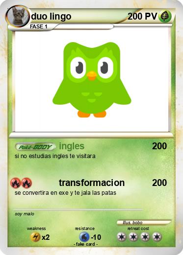 Pokemon duo lingo