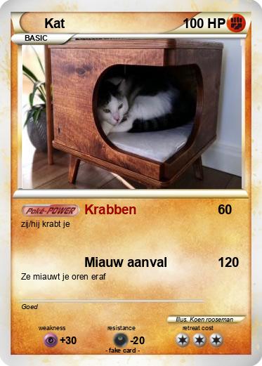 Pokemon Kat