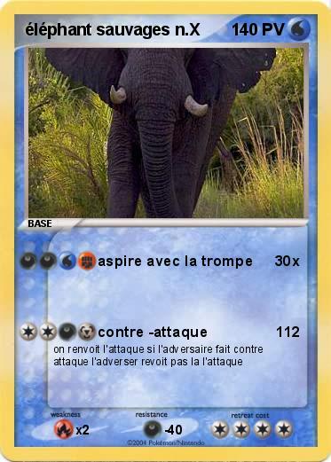 Pokemon éléphant sauvages n.X