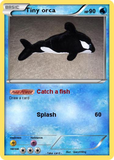 Pokemon Tiny orca