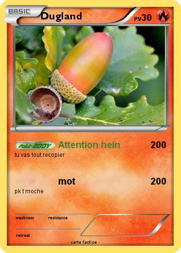 Pokemon Dugland