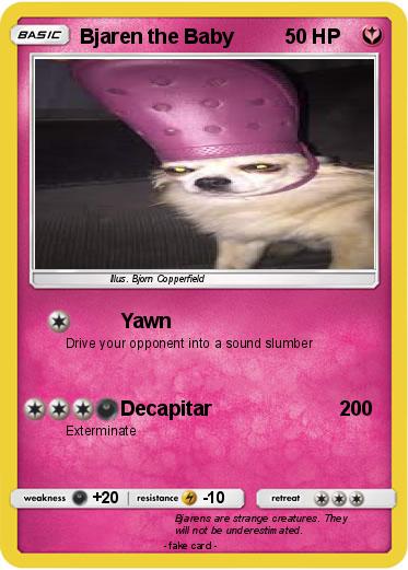Pokemon Bjaren the Baby
