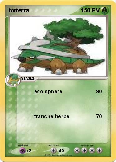 Pokemon torterra                                                          