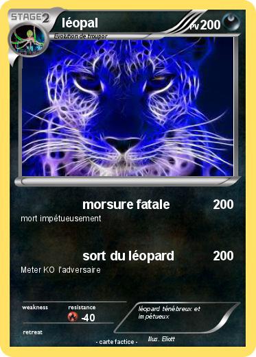 Pokemon léopal