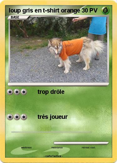Pokemon loup gris en t-shirt orange
