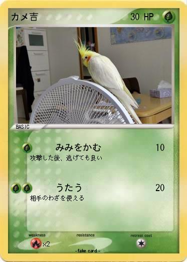 Pokemon カメ吉