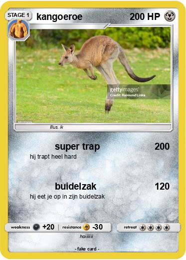 Pokemon kangoeroe
