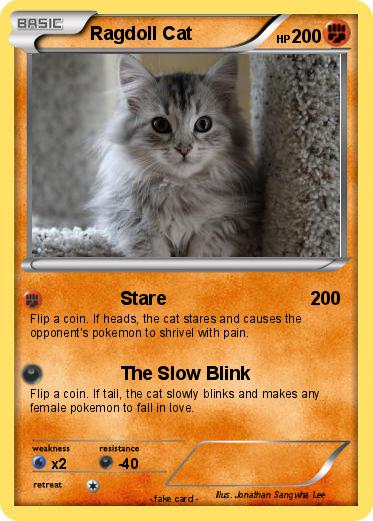 Pokemon Ragdoll Cat