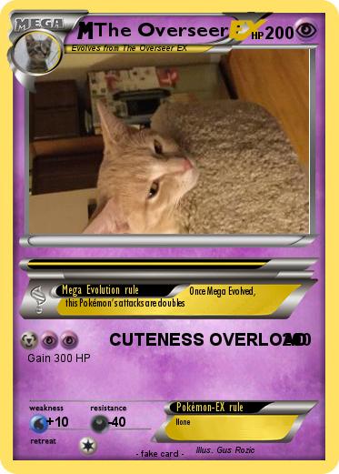 Pokemon The Overseer